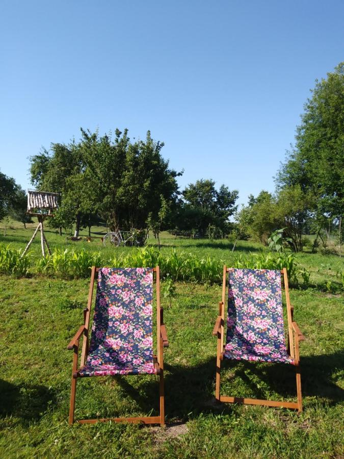 Miejsce Mocy Mazury Apartment Kolno  Luaran gambar